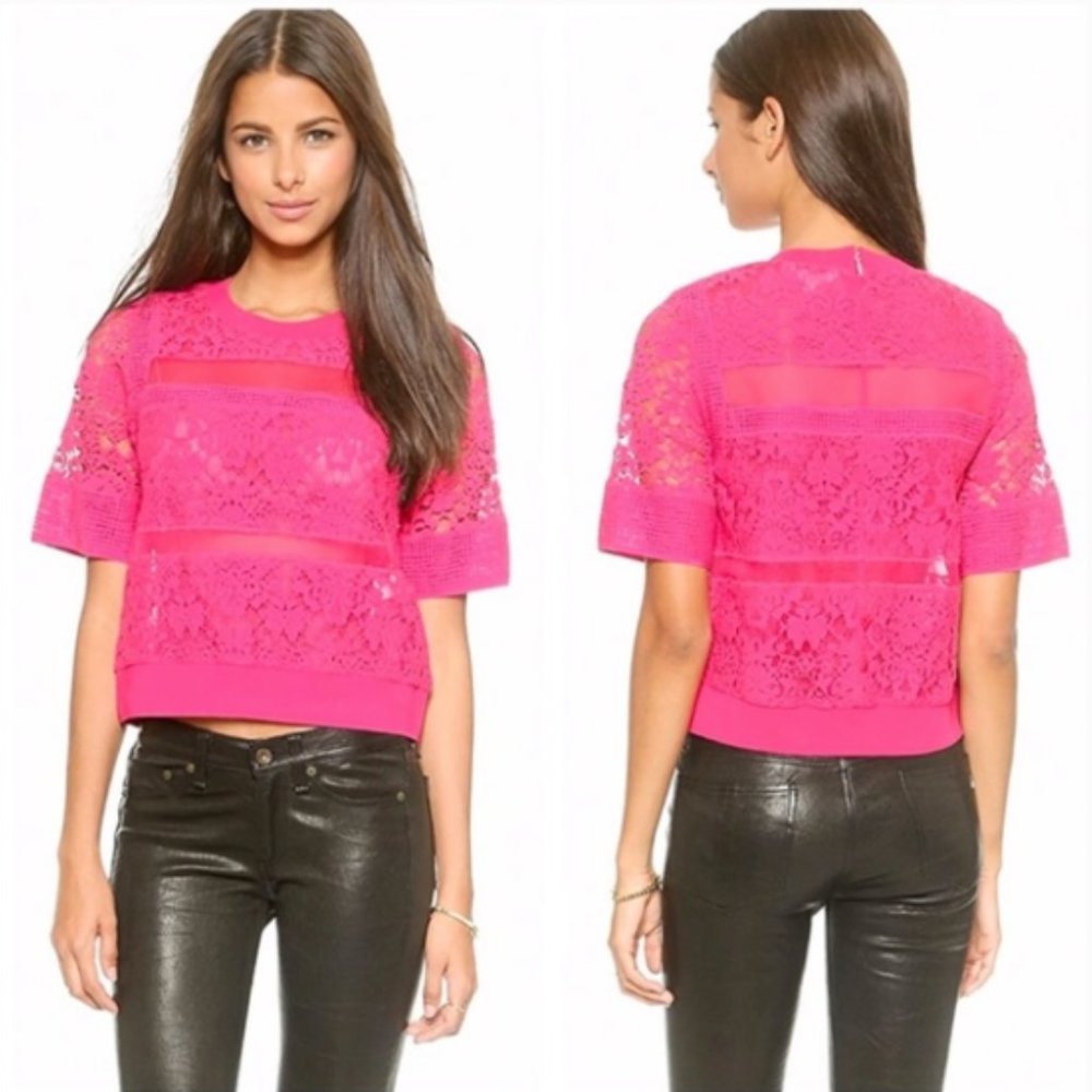 NWT Rebecca Taylor Pink Patch Lace Top